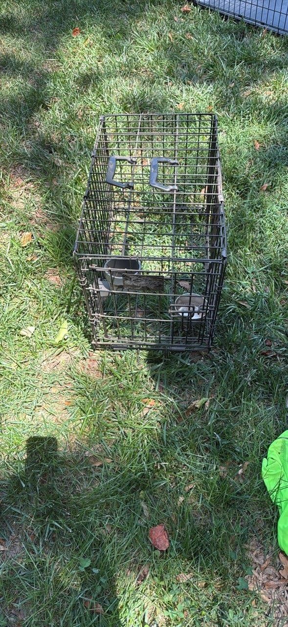 Small Dog Crate