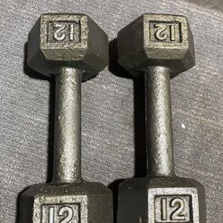 12 LB Dumbbells 