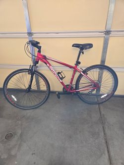 Schwinn GTX 3