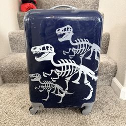 Dinosaur Luggage $15