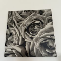 Black And White Roses Painting 