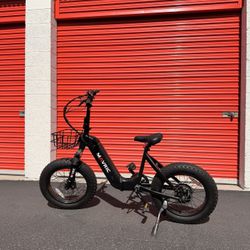 Electric Bike
