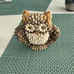 Seashell Owl