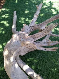 natural Driftwood for aquariums terrariums decor