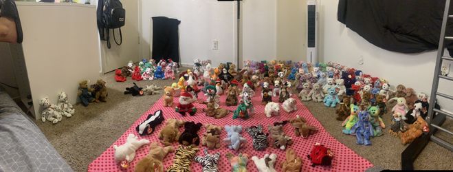 Beanie Baby’s Collection