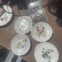 Bird Tea Plates 4 For $10 Obo