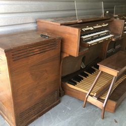 Musical Organs (FREE)