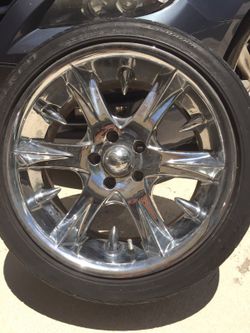 Panther Shark Rims
