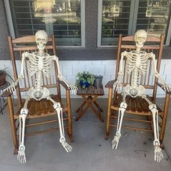 Halloween Decor Life Size Pose-able Skeletons 