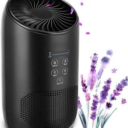 2023 New Upgrade H13 True HEPA Air Purifier with Fragrance Sponge, Effectively Clean 99.97% of Dust, Smoke, Pets Dander, Pollen, Odors