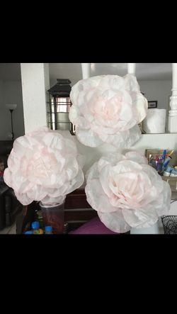 Tissue paper flowers $2 Any color