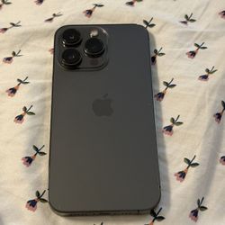 13 Pro 256 GB Unlocked 