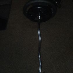 Weights And Curl Bar