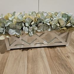 plant decor used for staging euc 