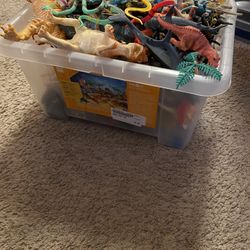 Dinasours, Sea Creatures, Etc