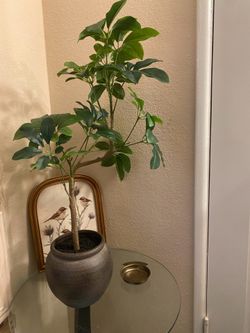 Faux Plant