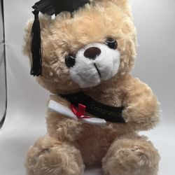 Graduation Teddy bear