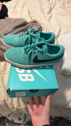 Nike Sb Shoes