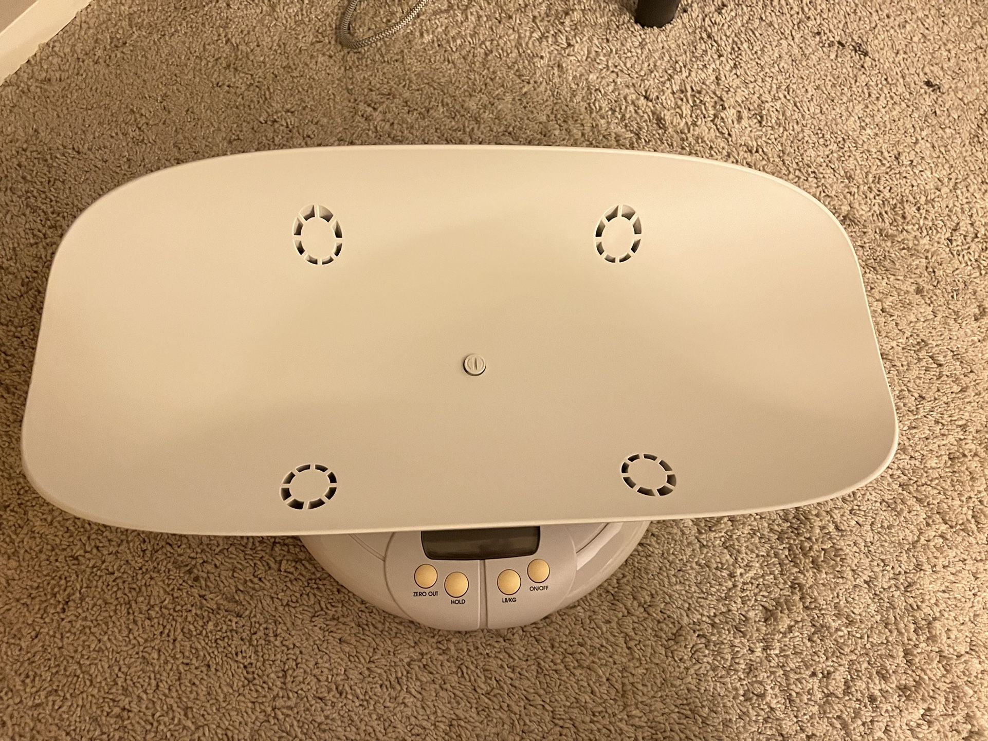Salter Baby, Toddler, Pet Scale, Perfect Read