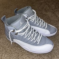 Air Jordan 12 Stealth