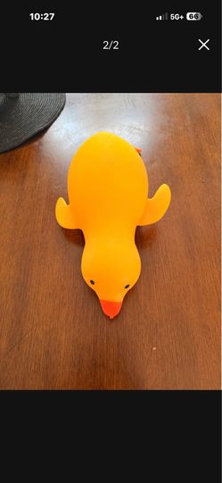 Duck squishy