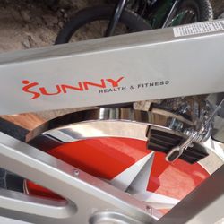 Sunny Exercise Bike