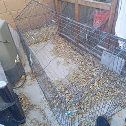 Big wire pet pen