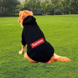 Dog clothes 