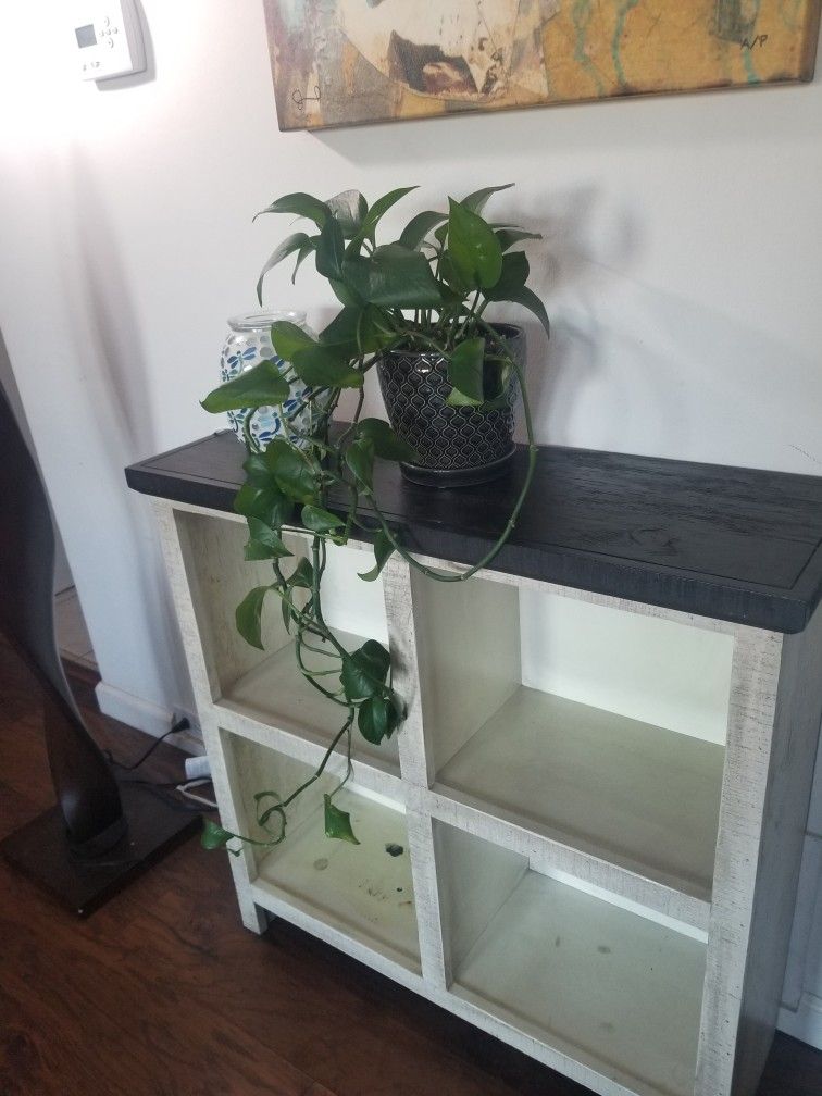 Shelf Bookcase