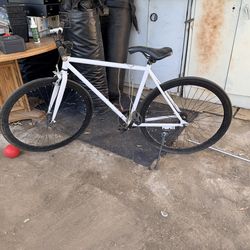 Fixie bike