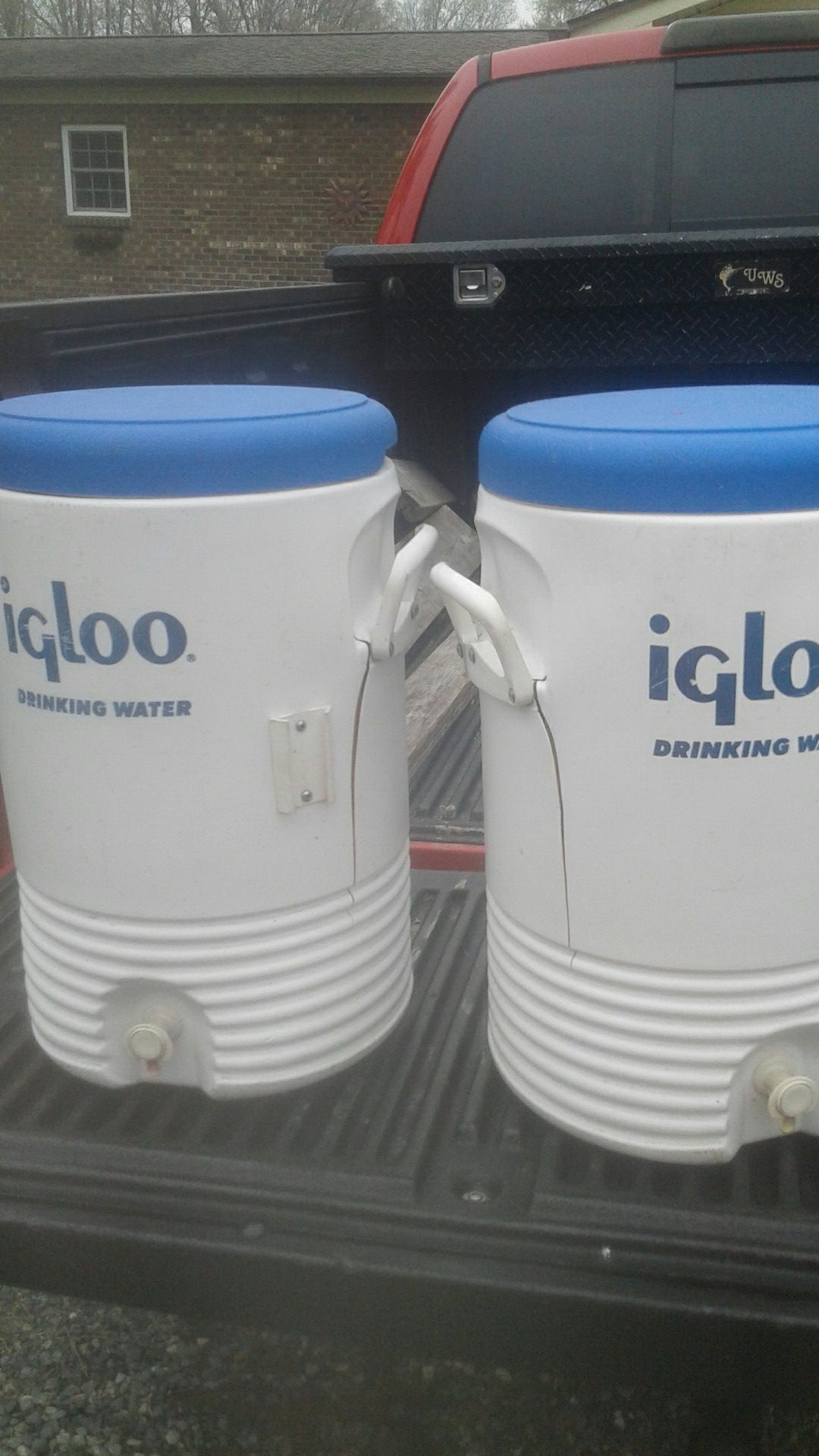 igloo coolers