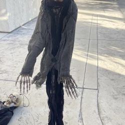 Halloween Decorations