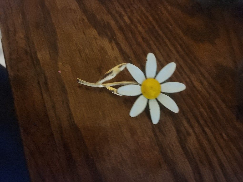 Vintage Daisy Pin