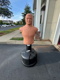 Century Bob  Sparring buddy