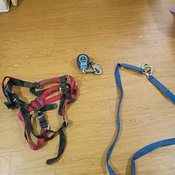 Safety Harness 