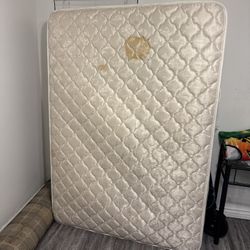 Full Sized Mattress