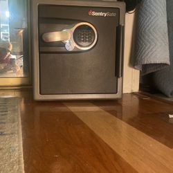 Sentry Safe 