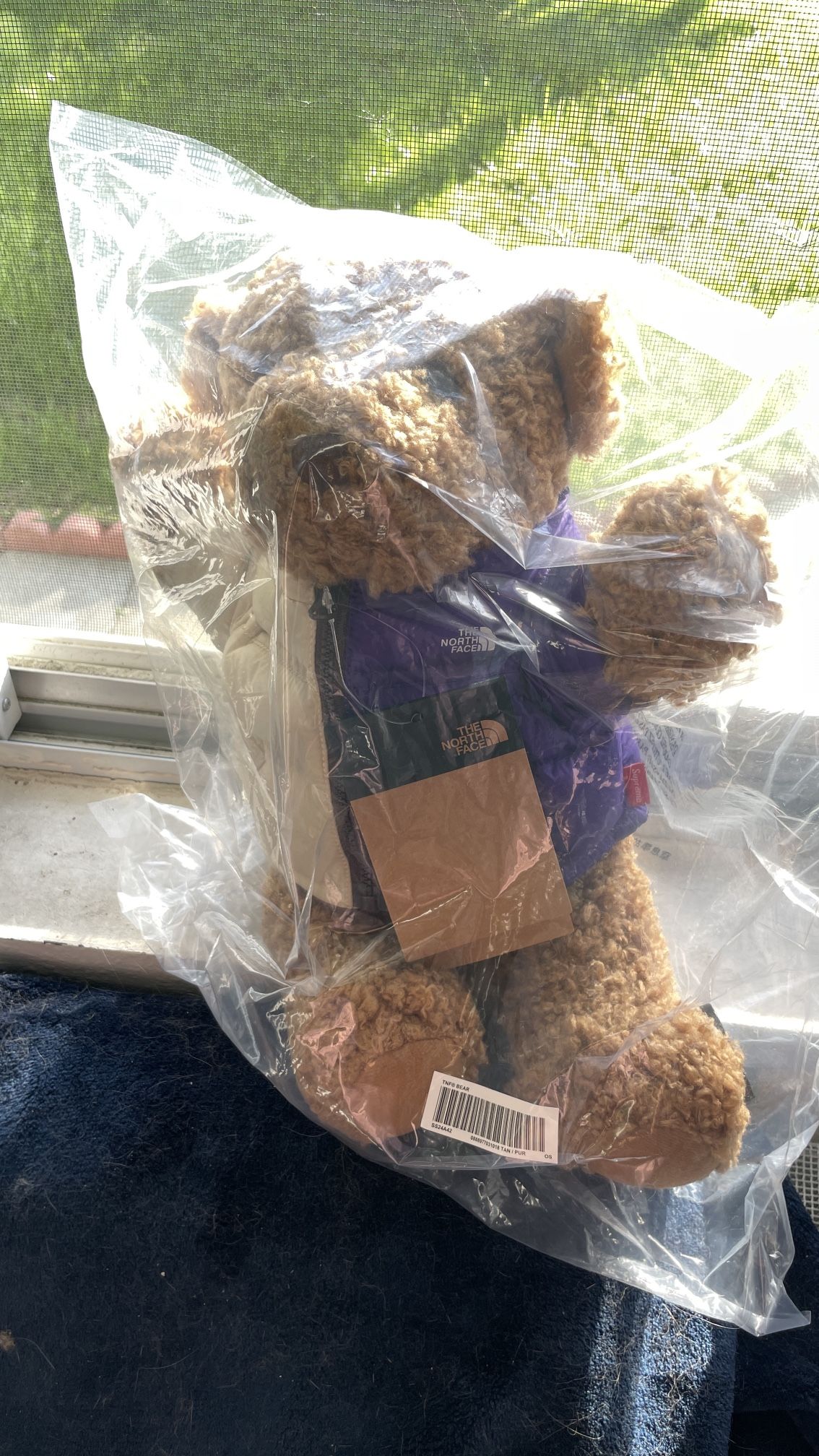Supreme The North Face Teddy Bear SS24