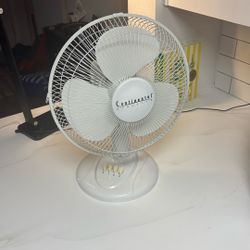 Fan