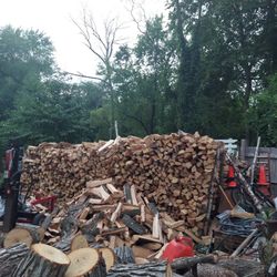 Fire Wood  For Sale  