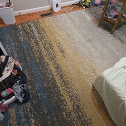 10x7.9 carpet, warm Fall colors only needs cleaning.