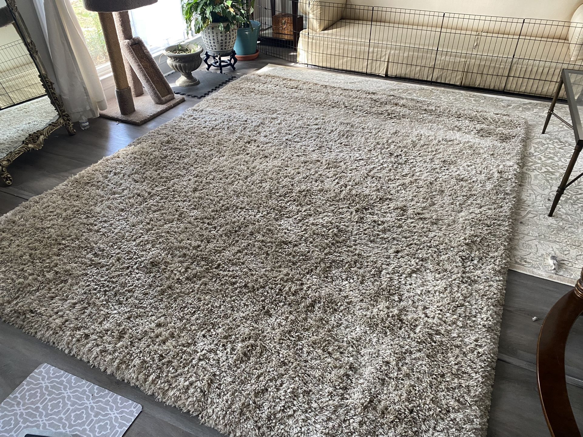 Area Rug (12x8) 