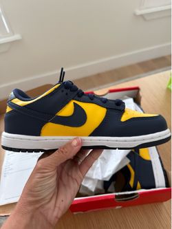 New Nike Dunk