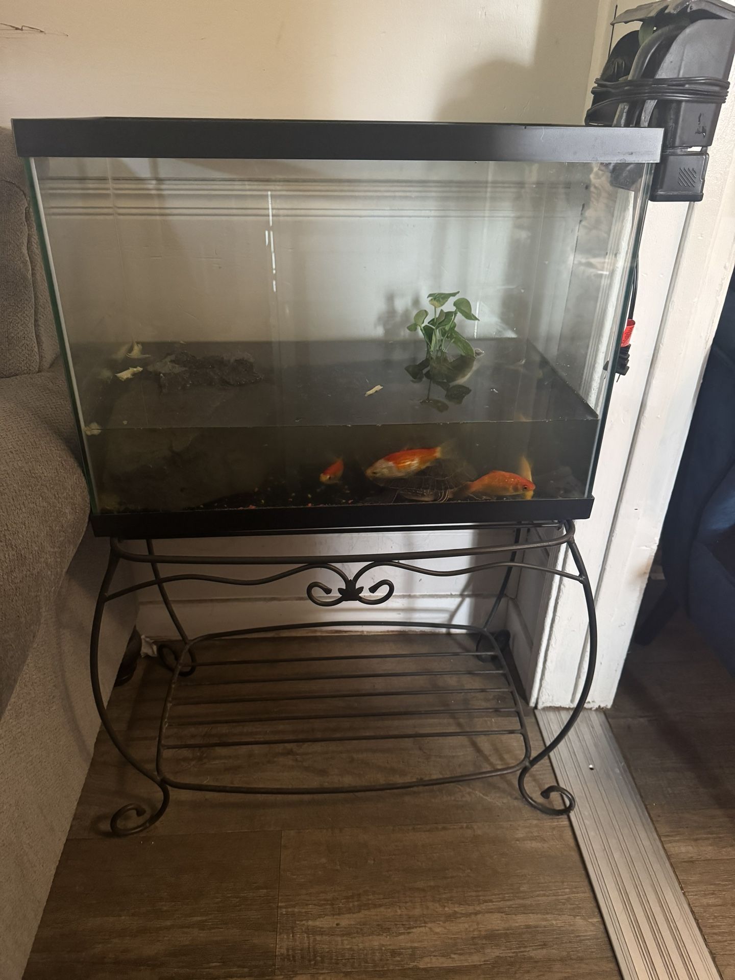 Fish Tank
