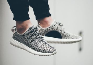Yeezy Boost 350 Turtle Dove