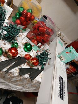 Pino yadornos