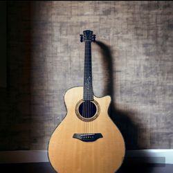 Furch Red Master's Choice Gc-SR Sitka/Rosewood LR Baggs SPA LUXURY GUITAR