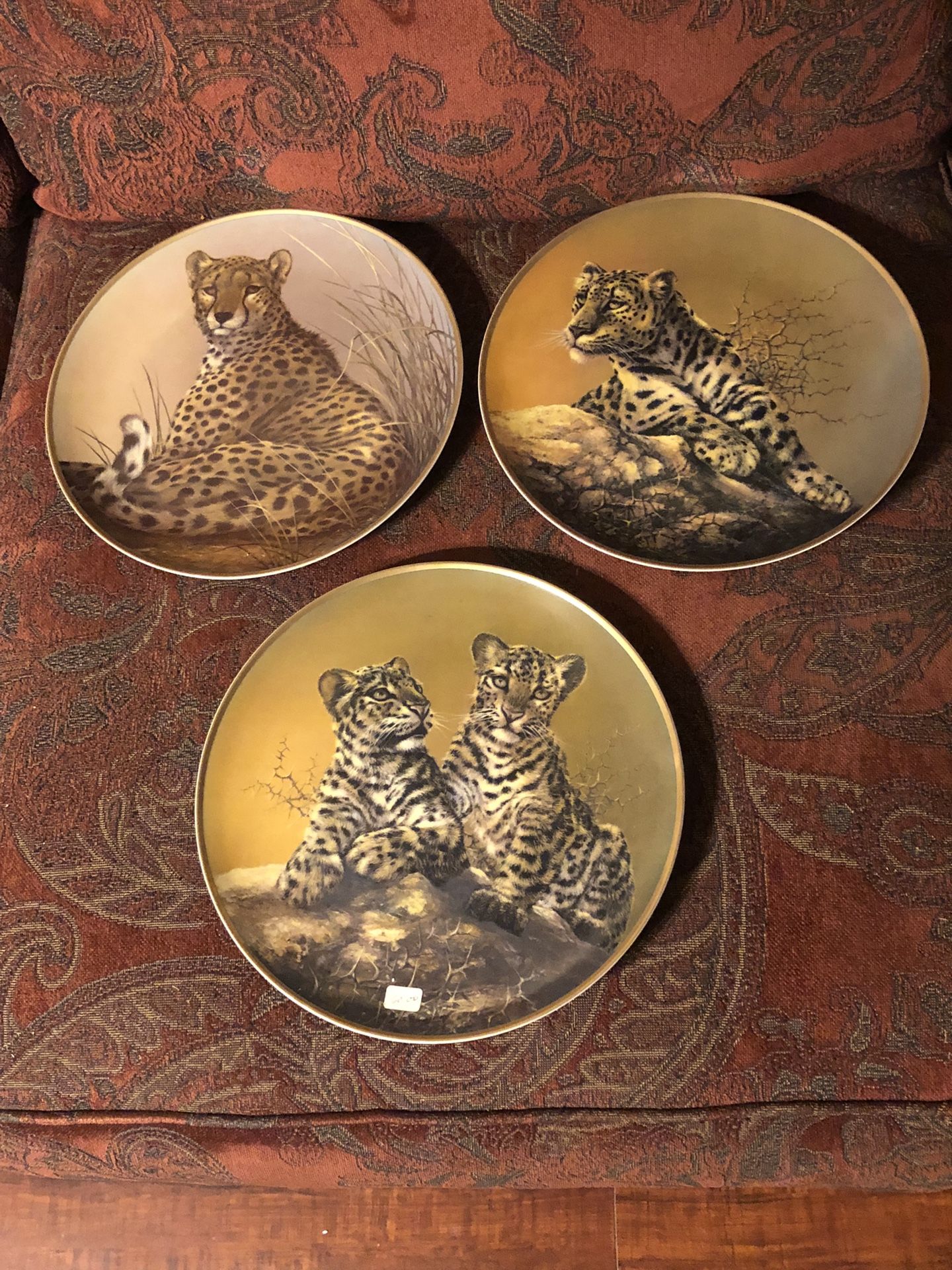 Collector Plates