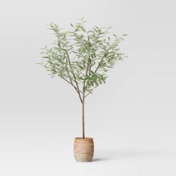 72" Olive Artificial Tree with Cement Pot