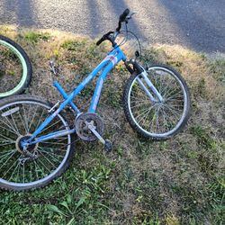 Free Items